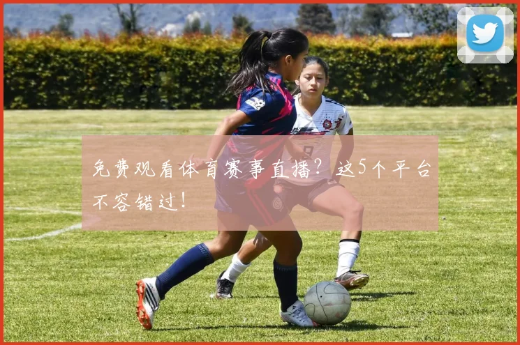 免费观看体育赛事直播？这5个平台不容错过！