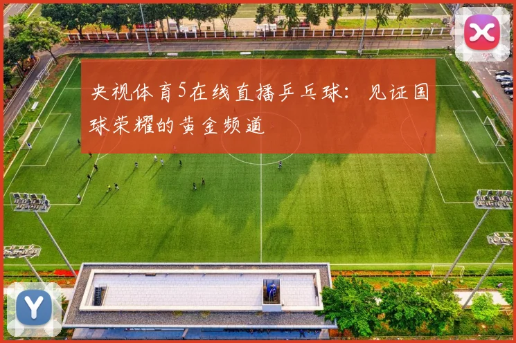央视体育5在线直播乒乓球：见证国球荣耀的黄金频道