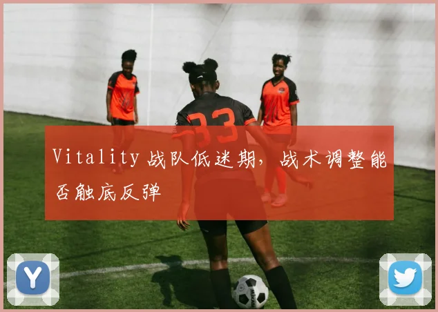 Vitality 战队低迷期,战术调整能否触底反弹