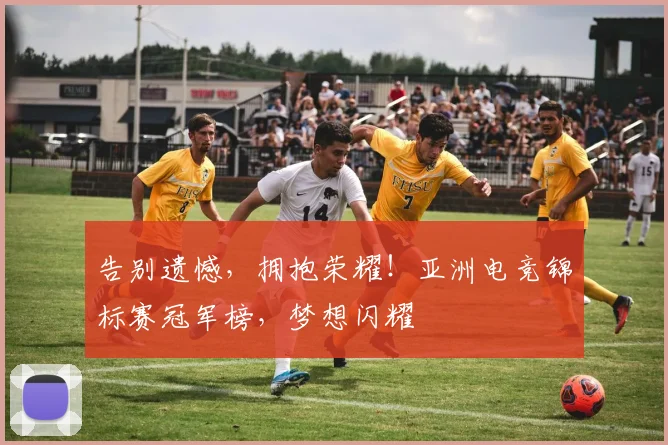 告别遗憾,拥抱荣耀!亚洲电竞锦标赛冠军榜,梦想闪耀