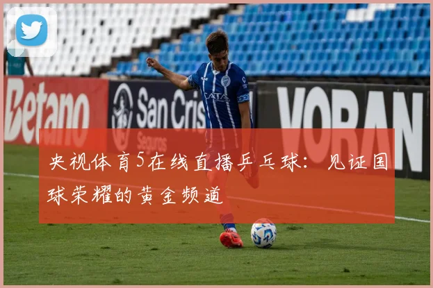 央视体育5在线直播乒乓球：见证国球荣耀的黄金频道